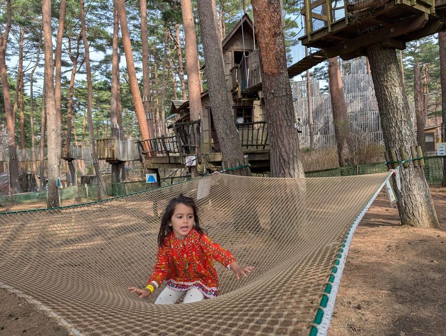 A child lying in a rope hammock slung between pine trees, with timber treehouses behind, at Fuji Subaru Land